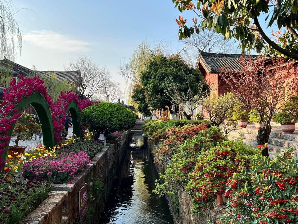 335096152_122946840616516_6411639685366319685_n