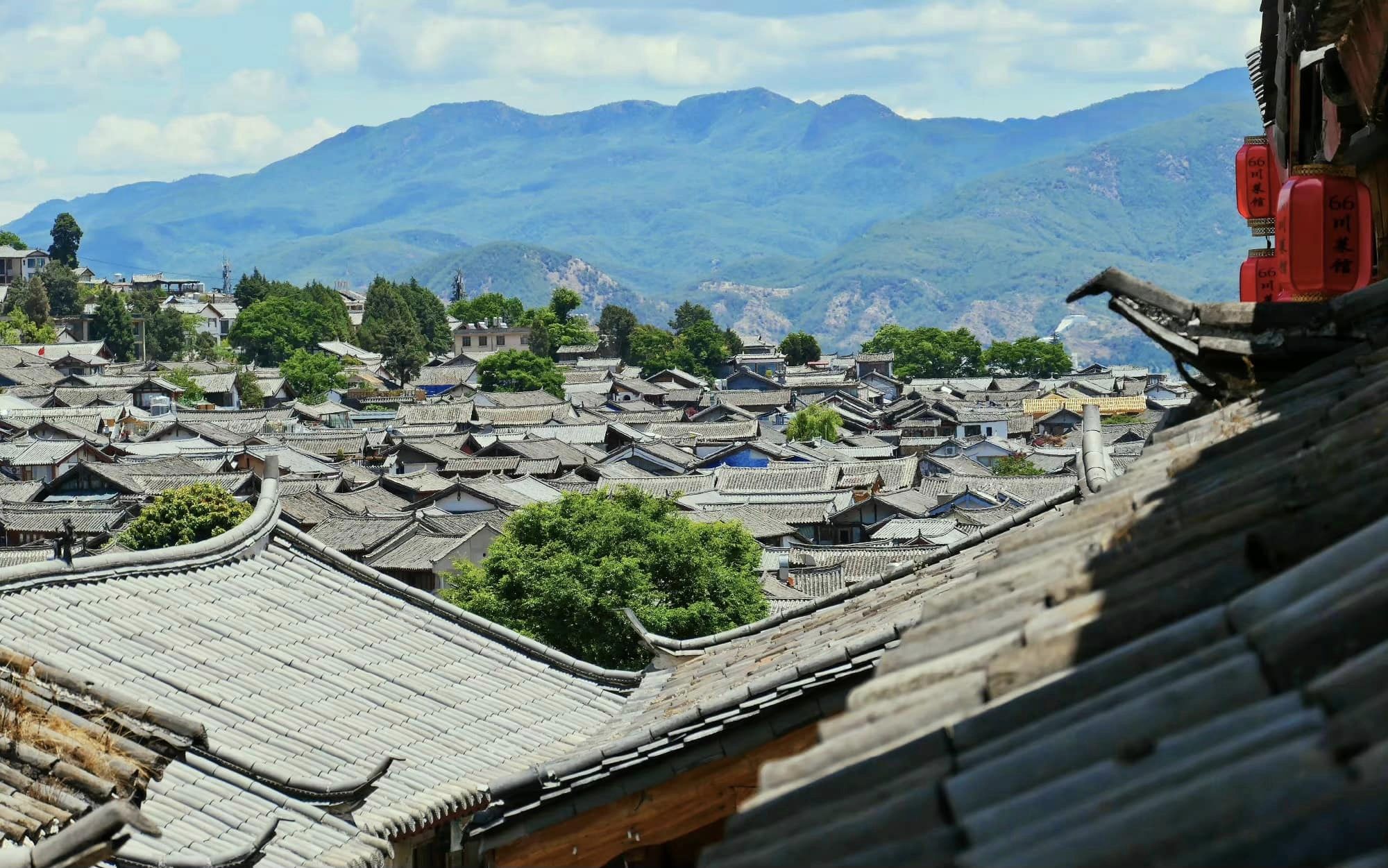 335596635_739951321071102_1059793640599583050_n