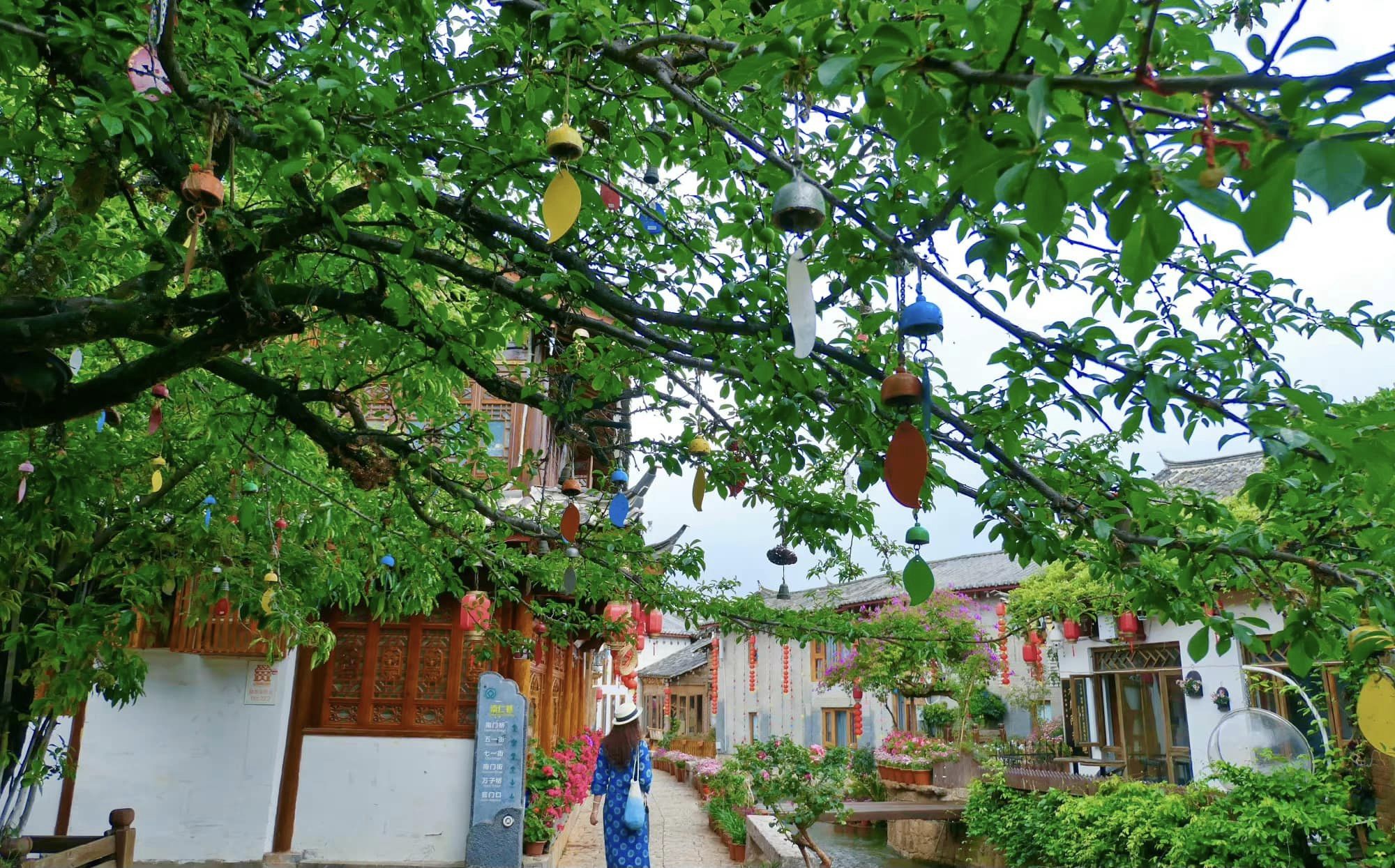 335904211_584805236891588_4907156880536351622_n