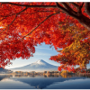 {9BB6E080-E15E-44AE-AE22-4FF6613A86D6} (1)