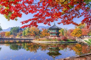 2024   HÀ NỘI – SEOUL – NAMI – EVERLAND – VN AIRLINE